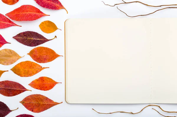 Открытый блокнот с осенними листьями на белом фоне — стоковое фото