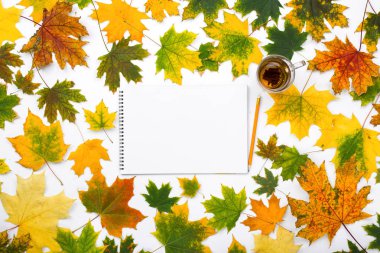 Boş albüm ile sonbahar çerçevesinde çay yaprakları