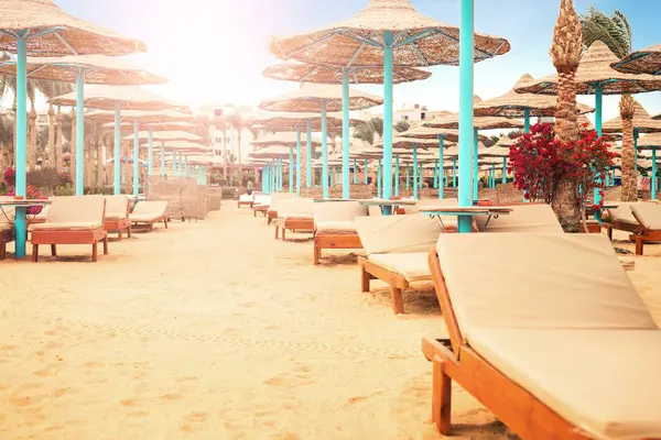 Şezlong ve şemsiye plajda güneşli