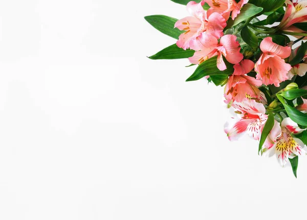 Buquê de flores alstroemeria no fundo branco com cópia sp — Fotografia de Stock