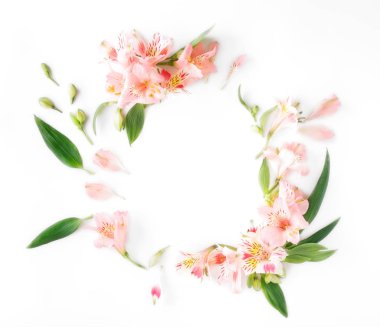 Alstroemeria, yaprakları ve beyaz arka plan üzerinde yaprakları ile çerçeve