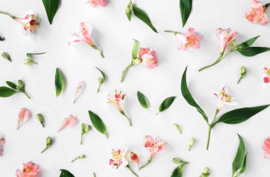 Polietilen, pembe alstroemeria, petal yaprakları düz yatıyordu çiçek desenli