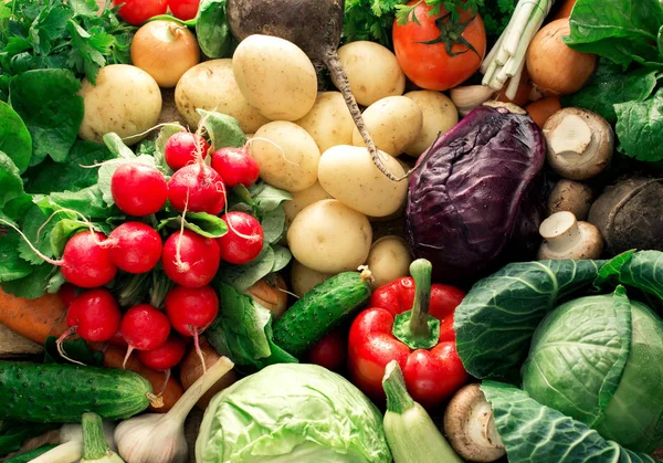 Buntes Gemüse Hintergrund. Reihe von frischem Gemüse aus nächster Nähe — Stockfoto
