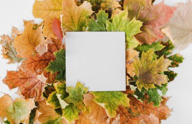 Renkli kuru yaprakları ile kağıt kartı Not