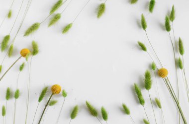 Çerçeve ile kulak buğday ve beyaz zemin üzerine çiçek