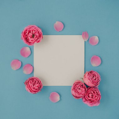 Düzen ile mavi bir arka plan üzerinde pembe güller