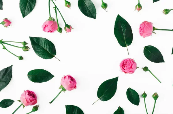 핑크 장미와 녹색 잎의 만든 프레임 — 스톡 사진