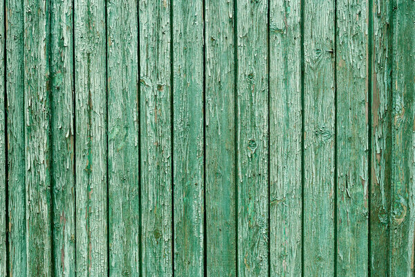 Old green wood texture. background old panels