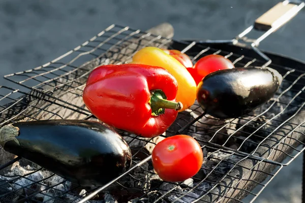 Червоний і жовтий перець, баклажани, помідор на грилі — стокове фото