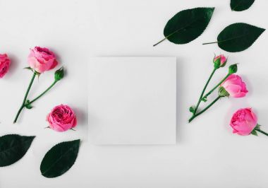 Pembe güller ve beyaz zemin üzerine yeşil yaprakları ile kartı