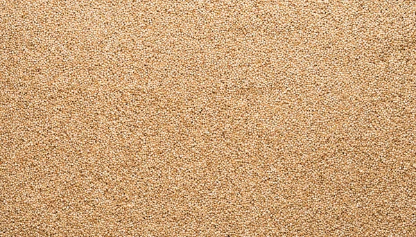 Samen weißer Quinoa. gesunde Ernährung Hintergrund — Stockfoto