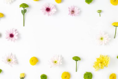 Çerçeve farklı krizantem yaptı.