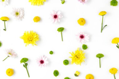 desen farklı krizantem yaptı