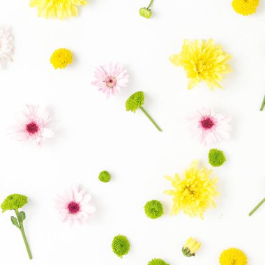 desen farklı krizantem yaptı