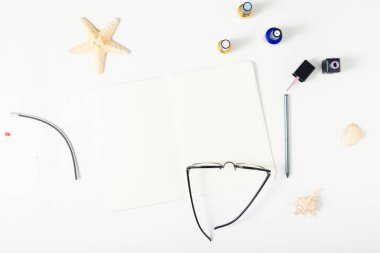 Deniz yıldızı, kabukları ile açık defter