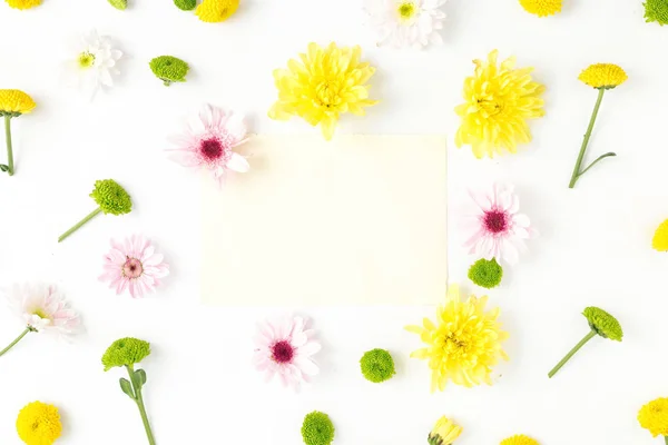 Рамка различных хризантем — стоковое фото