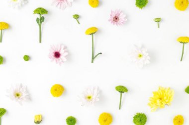 desen farklı krizantem yaptı