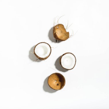 Hindistan cevizi tropikal desen 