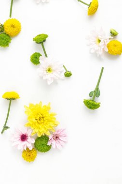 desen farklı krizantem yaptı