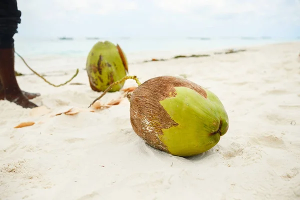 Закрыть весь кокосовый орех песком на пляже — стоковое фото