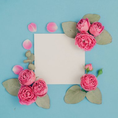 Düzen pembe Güllü 