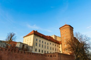 Wawel Katedrali Wawel tepe üzerinde