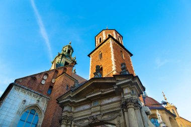Wawel Katedrali 