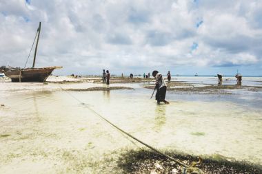 Afrikalı Çocuk deniz ürünleri bulmak için