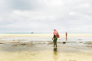 Deniz ürünleri bulmak için Afrikalı kadınlar 