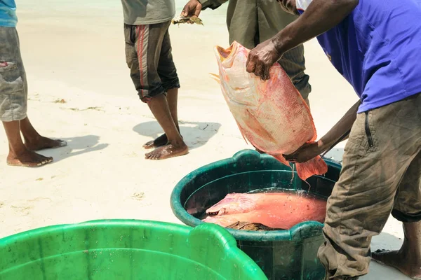 Balıkçılar sahilde balık paylaşımı