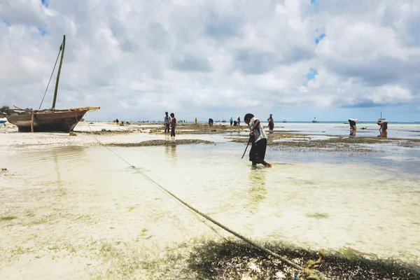 Afrikalı Çocuk deniz ürünleri bulmak için