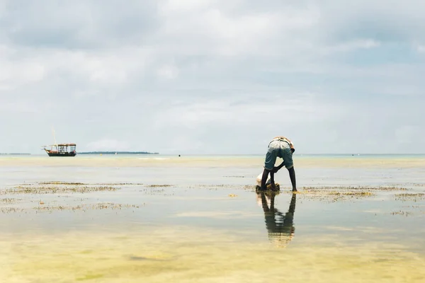 African man in search of seafood — Stock Photo, Image