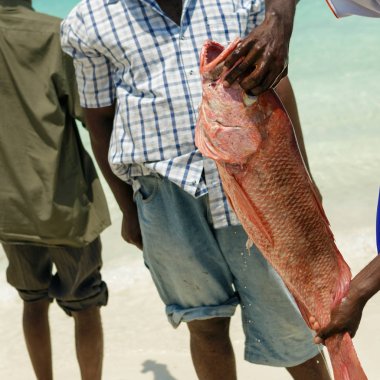 Balıkçı taze kırmızı snapper kıyı okyanus üzerinde tutuyor