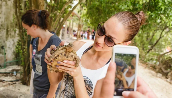 Donna Turista Fotografato Con Una Piccola Tartaruga Terra — Foto Stock