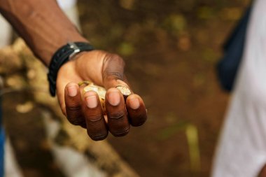 Bahar Çiftlik Zanzibar. Erkek elinde taze hindistan cevizi meyve
