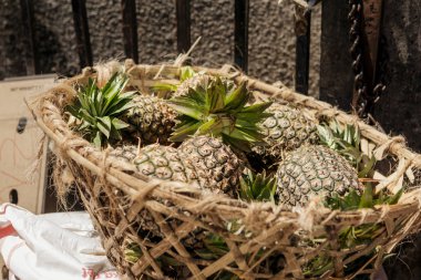 Hasır sepet Pazar taş şehir, Tanzanya, Zan yığın ananas