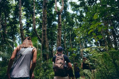 Grup yoğun tropik orman, seyahat yaşam tarzı yürümek yolcularının 