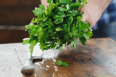 taze grup holding eller