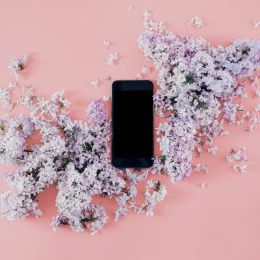 Leylak pembe arka plan, üstten görünüm üzerinde bir buket ile düz yatıyordu akıllı telefon