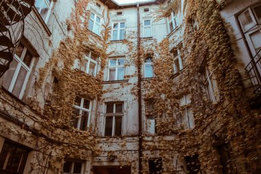 Sonbahar yapraklarındaki güzel eski ev