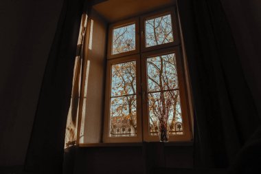 Sonbahar sokağındaki pencereden bak