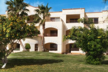 Yeşil çimleri, palmiyeleri ve ağaçları olan tatil köyünün güzel toprakları. Yaz arkaplanı