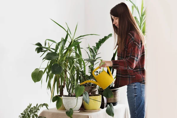 Donna a casa irrigazione piante Houseplants a casa — Foto Stock