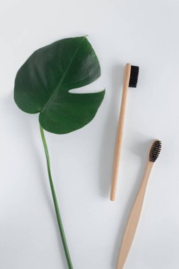 Sıfır atık. Beyaz arka plan görünümlü canavar yapraklı doğal eko bambu diş fırçası.