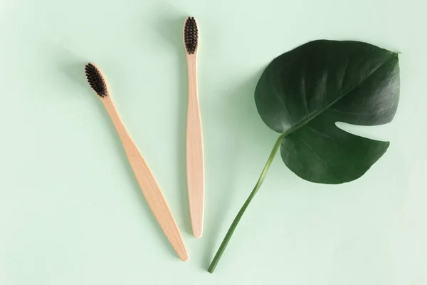 廃棄物ゼロのコンセプト 緑の背景にモンスターの葉を持つ自然環境竹の歯ブラシのトップビュー — ストック写真