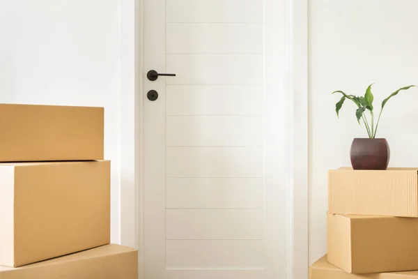 Stack Cardboard Boxes Living Room Moving New House Concept — Stock Photo, Image