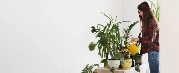 Giardinaggio piante d'appartamento a casa. Giovane donna annaffiamento piante domestiche — Foto Stock