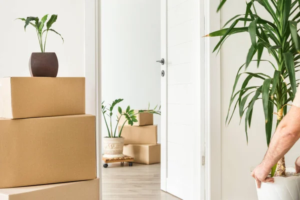 Moving Home Concept Packed Boxes Stuff Living Room Space Text — Stock Photo, Image