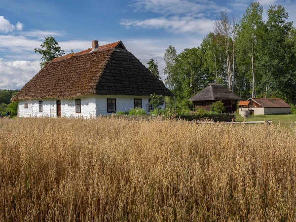 有稻草屋顶的白色房子 波兰科尔布佐瓦村一座旧木屋的景观 — 图库照片
