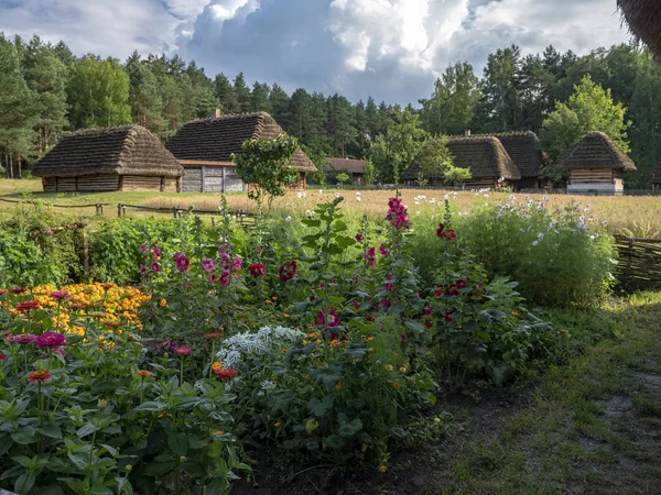 Drewniane Domy Skansen Wsi Kolbuszowa Polsce Ogród Kwiatowy Wsi — Zdjęcie stockowe